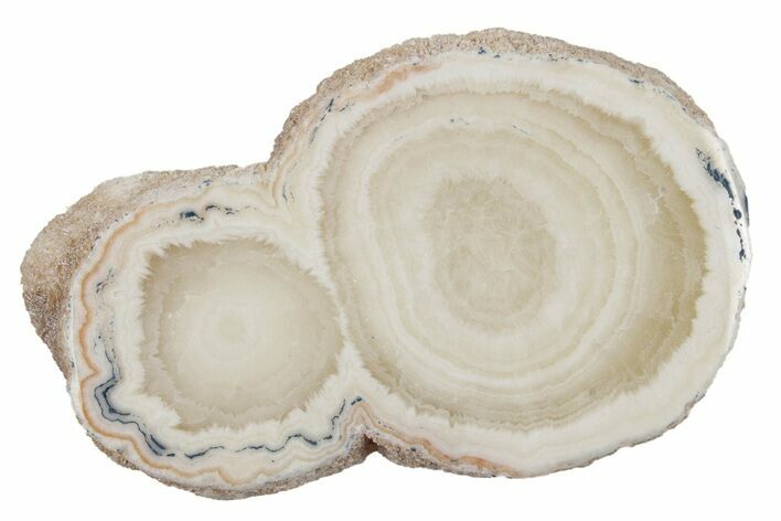 Polished Aragonite Stalactite Slice - Morocco #255415